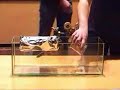 how to float on the air