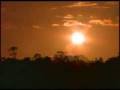 Em busca do maior tucunaré do mundo - Amazônia
