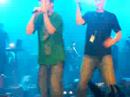 hilltop-hoods-concert.html
