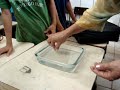 Demonstração das Rochas magmaticas e outros.... Feira de Ciencias Aldemir Lima