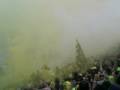 ARIS-olympiakos kitrino ntoumani......