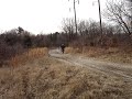 YZ 250