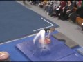 Wolfgang Personeus - Gymnastics L6 - Dec09 - Pommell.wmv