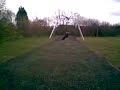 hardcore swing