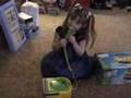 Electronic Kids video