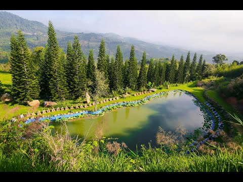 NIKAYA Thiền Quán - Ân Đức Tam Bảo - Hiền Thiện Từ Bi *