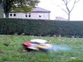 FG Beetle in garden