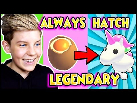 *WORKING* 5 HACKS To Hatch LEGENDARY PETS in Adopt Me!! 100% WORKING 2020!! LEGIT WORKS!! Prezley!