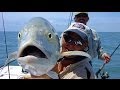 Hour Jacks - EXTREME SALTWATER fishing