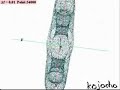 ????????? in R^3 ????????? in R^3