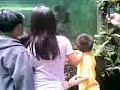 galario family