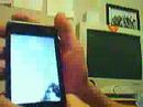 ibug