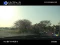 #03 Sakura(cherry blossoms) at Seto River - DRIVING VIDEO