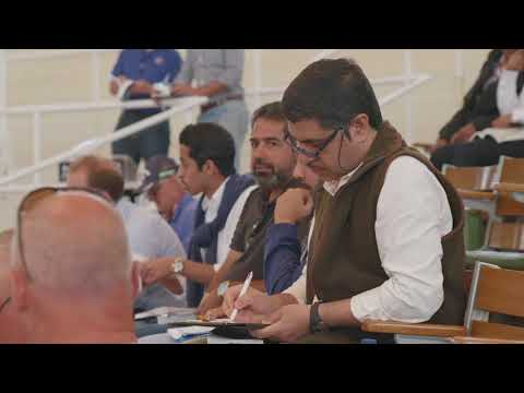 Tattersalls July Sale Day 3 2018