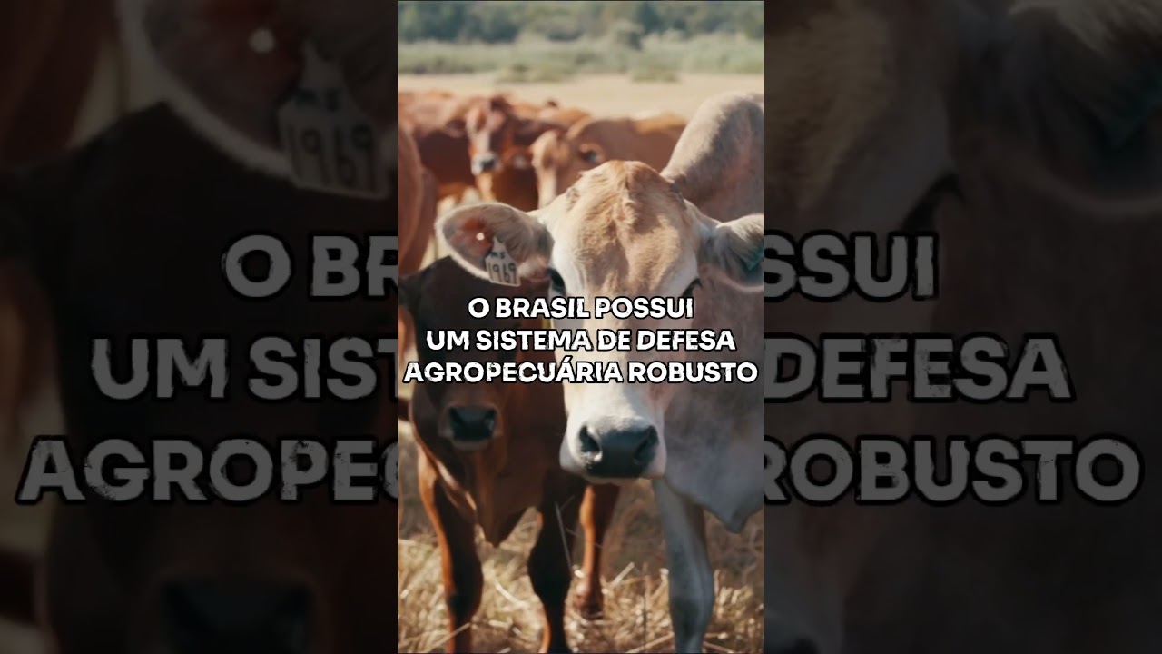 Setores estratégicos para o Brasil estão ameaçados!