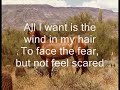 Wild Horses - Lyrics
