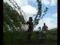 Cultivation & Growing of Jute - Sowing to Fiber Extraction