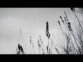 Dark Ambient Music - Frozen
