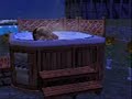 ei kenenkään maa   the sims  laatuhuonovideossa 
