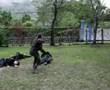 Ninja Camp-Ninjutsu Bujinkan Brasil - Fudo Myo Mayadish Dojo