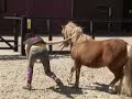 Lol met je Shet Lol met je Shet