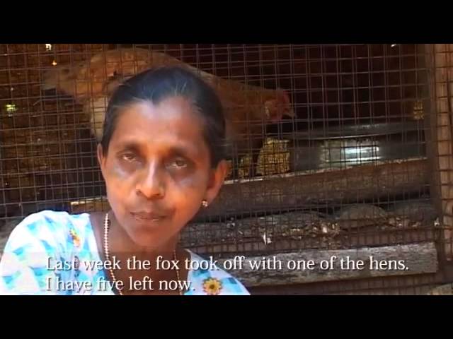 The story of Fair Trade Alliance Kerala