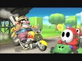 Super Smash Bros Brawl LoZ style