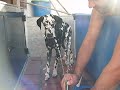 Atrapando el chorro!