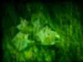 staticerosion