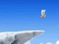 poler bear-ice climbing