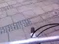 Brain Master (Fahrrad action)