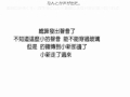 13年後的蠟筆小新-小白的最後