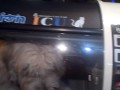 Luxury Pet House: 21st Century Pet Pampering