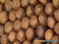 REPÚBLICA DOMINICANA - MUCHOVIAJE