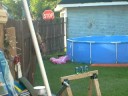 me shooting pop cans in the back yard(plzz comment) me shooting pop cans in the back yard(plzz comment)