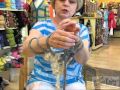 Orbit NeedleFree Knitting Video
