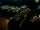 MOV00720.AVI MOV00720.AVI