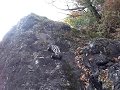 RCCrawling in late autumn