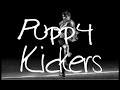 Puppy Kickers Puppy Kickers