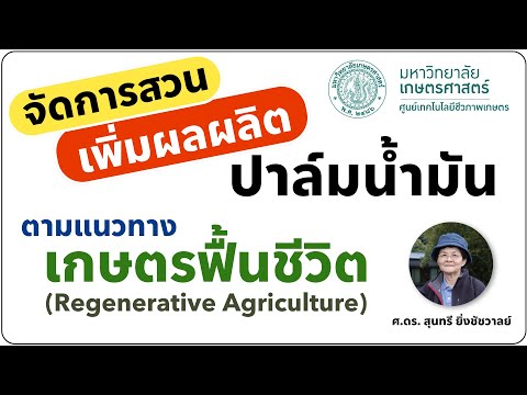 จัดการสวน เพิ่มผลผลิตปาล์มน้ำมัน ตามแนวทางเกษตรฟื้นชีวิต (Regenerative Agriculture)