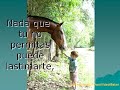 Motivación Liderazgo Superación personal: Eres, lo más importante en tu vida