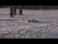 videos de jetlag2222 Ultimate Snow Monster
