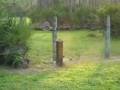 2K5 alias muppet mower 2K5 alias muppet mower