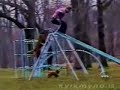 americal funniest video