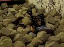 Corby backflip attempt