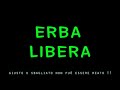 Erba libera - Intervista ai Sud Sound System