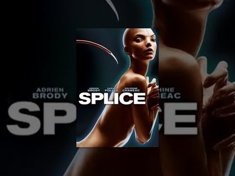 Splice