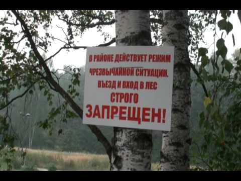 YouTube Трейлер