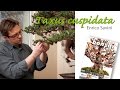 Bonsai Focus Demo Yew - Enrico Savini