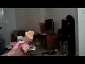 videos de man dec 08 2